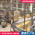 Customization of stainless steel craft beer automatic production line for fermented fruit flavored beer processing equipment