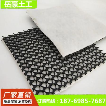Yuehao Roadbed Drainage Garbage Landfill 3D Composite Drainage Network Retaining Wall Diversion Geonet Solid Factory
