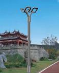 Indoor and outdoor street lamp manufacturer - Xinyan Technology, professional design, installation and construction