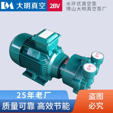 2BV2071 Water Ring Vacuum Pump 2BV Series Water Ring Vacuum Pump Extruder Industry