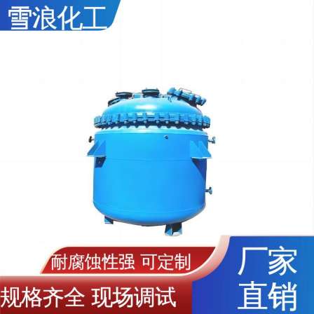 Xuelang Chemical has complete specifications, on-site debugging, strong corrosion resistance, fine workmanship, and gas phase stirring kettle