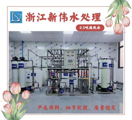 0.5 ton electronic Ultrapure water equipment EDI module Ultrapure water machine manufacturer customized nationwide delivery