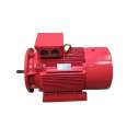 Sigma Flameproof Variable Frequency Speed Control Explosion proof Motor YBBP250M-2-55KW-B3-B5-380V/5-100HZ