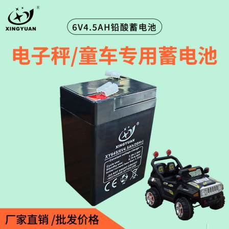Children's electric vehicle 6V 4AH4.5A toy car motorcycle children's car battery charger Xingyuan manufacturer