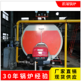 Supply 0.5 ton gas steam boiler 500 kg low nitrogen natural gas industrial boiler