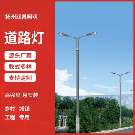LED City Circuit Light 6m and 8m Municipal Road Single and Double Arm Lighting High and Low Arm Double Head Road Lamp Poles