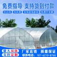 Construction of Plastic Film Single Building Edible Mushroom Greenhouse Greenhouse Planting Arch Dome Steel Frame Steel Pipe Plastic Greenhouse