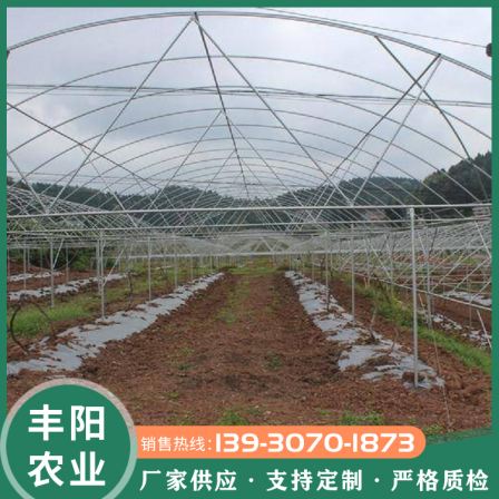 Sheep Horn Rain Shelter: A New Type of Blueberry Grape Rain Shelter with Beautiful, Strong, and Stable Appearance