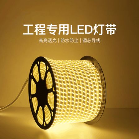 High voltage 220V light with LED household ceiling 2835 patch 120 bead double row outdoor waterproof light strip