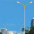 8-meter parallel arm dual lamp head municipal LED street light New rural high pole road lighting light Xinyonghong