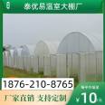 New style grape planting shed, off-season fruit greenhouse, single arch greenhouse, greenhouse pipe spot, Taiyouyi factory