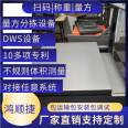 Hongshunjie Logistics Weighing Visual Sorting Express Weighing Visual Sorting Weighing Sorting Volume Measurement