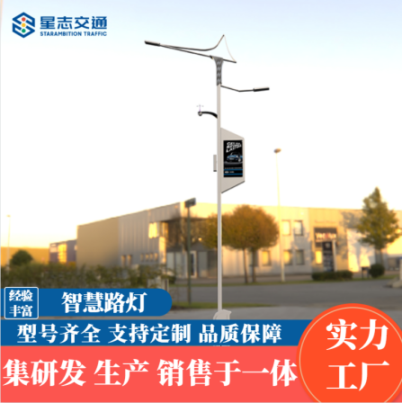 5G multifunctional smart street light, municipal outdoor road lighting, star vision, traffic multi-pole integration