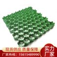 Wangao Golf Lane PE Lawn Plastic Mesh DN40 High Grass Planting Grid Factory Green Grid Pad