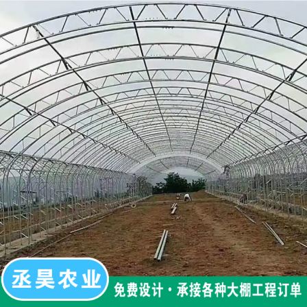 100c type steel greenhouse with good stability and strong compressive capacity for flower planting greenhouse, double membrane framework arch shed