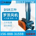 DSR65 Roots blower sewage tank for aerated aquaculture occupies a small area and is easy to maintain