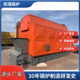 Source Factory DZL2-1.25-SII Model 2-ton Chain Biomass Particle Steam Boiler