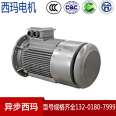 Taifu Xima high-efficiency motor YE4-132S-4 pole 5.5KW7.5 kW 380V new secondary energy efficiency standard