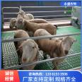 Hu sheep breeding and fecal leakage board, small hole sheep breeding bed, plastic bed board, assembled mesh bed