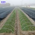 Cairn family greenhouse small arch support glass fiber rod with high strength and corrosion resistance can be used for more than ten years