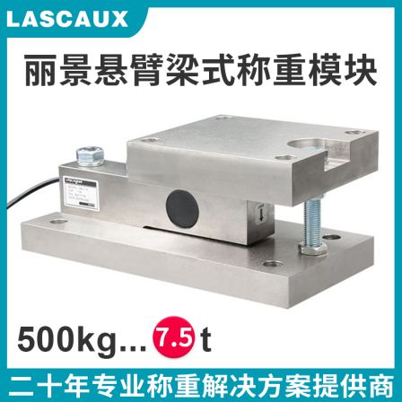 Lijing FW weighing module reaction kettle material tank weighing sensor material hopper weighing module