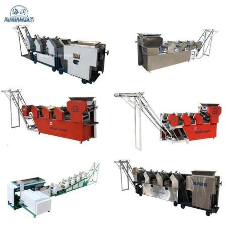Large scale noodle production equipment in commercial noodle machines with multifunctional hanging noodles, leaves, fruits and vegetables noodle machines