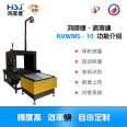 Fully automatic sorting machine DWS sorting equipment assembly line volume measurement E-commerce express automatic sorting Hongshunjie