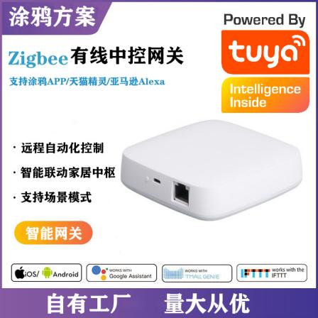 Graffiti New Product ZiGbee Wired Central Control Multifunctional Gateway 3.0 Intelligent Home Scene Control Equipment
