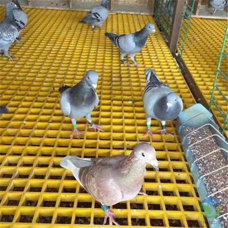 Pigeon house floor grid, fiberglass grating, grid board, Jiahang 25 long strip manure leakage board for aquaculture industry