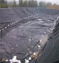 Aquaculture film Hengtuo UV resistant 0.7mm PE environmentally friendly anti-seepage geotextile film for fish ponds