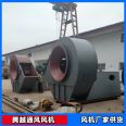 Manufacturer of acid resistant 4-72-10 plastic lined plastic lined fan for Tengyue's environmental impact assessment ft powder conveying and moisture removal induced draft fan