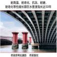 Wanji Aluminate Inorganic Anticorrosion and Seepage Prevention Mortar Chimney Sewage Reservoir Dam Bridge Repair and Reinforcement