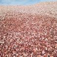 Wholesale of manufacturer's terrazzo, carmine, red gravel, paving adhesive, permeable floor aggregate, red gravel