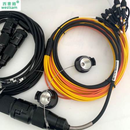 Quick connect fiber optic connector 2-core 4-core 6-core 12-core optical cable adapter aviation plug socket