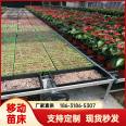 New greenhouse potted flower cultivation bed with high standards of anti-corrosion and rust resistance, and mobile seedling bed with large bearing capacity