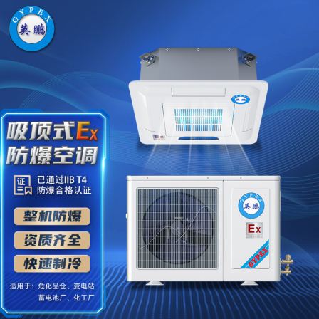 2 explosion-proof air conditioners with ceiling mounted Yingpeng explosion-proof central air conditioning laboratory ceiling mounted 2p BFKG-5.0T
