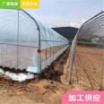 Thin film solar greenhouse Tongfeng Jianye double film skeleton greenhouse Agricultural thin film single temperature chamber skeleton processing