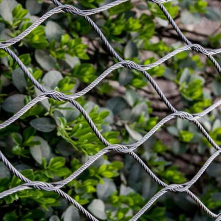 Hengding Stainless Steel Rope Climbing Vine Net Wall Green Plant Climbing Net 304 Horticultural Plant Climbing Vine Woven Net