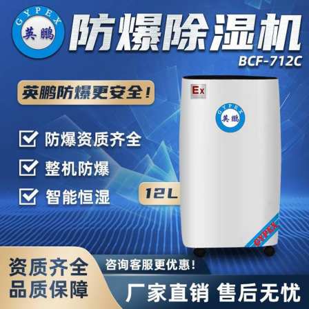 Yingpeng Explosion proof Dehumidifier Industrial Dehumidifier 12L/day BCF-712C