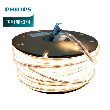 Philips Everbright LED High Voltage Light with 5W/7.5W/9W Corridor, Concealed Channel, Villa Color Display 80 220V