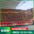 Hongyuan Building Materials Chinese fir pile has strong corrosion resistance, stable material, good adaptability, and straight grain Chinese fir