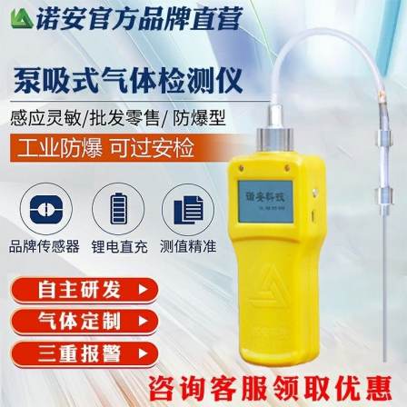 O2 Toxic Gas Side Leakage Detector for Gas Leakage Detection in Chemical and Pharmaceutical Laboratories