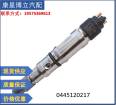 Source supply common rail fuel injector MAN truck 0445120218 0445120217 fuel injector