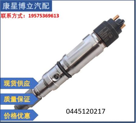 Source supply common rail fuel injector MAN truck 0445120218 0445120217 fuel injector