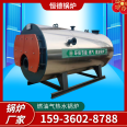 Hotel Bathing Hotel Heating and Hot Water Supply Special Fully Automatic Bathing Heating Vertical Fuel Gas Hot Water Boiler