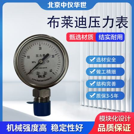 BLD all stainless steel shockproof pressure gauge, pointer, mechanical gauge, complete specifications, customizable