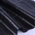 Black grass proof cloth, UV resistant, breathable, water permeable, durable, thickened, anti-aging Xinwo new material