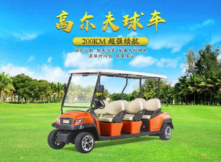 Donglang New Energy 6 seat golf cart - property patrol scenic spot Tour bus service - M1S6