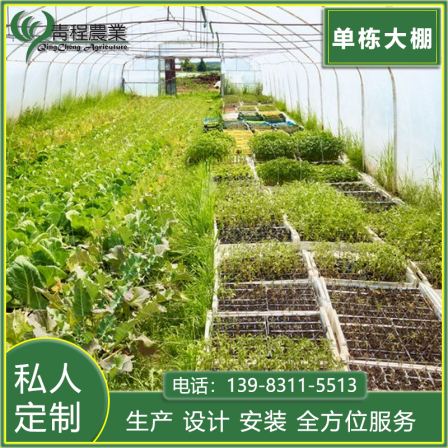 Qingcheng Agricultural Thin Film Greenhouse Greenhouse Construction, Fruit and Vegetable Agricultural Breeding, Large Daylight Area