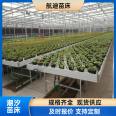 Tidal intelligent greenhouse hydroponic flower nursery bed frame Tidal mobile seedbed UV resistant and anti-aging